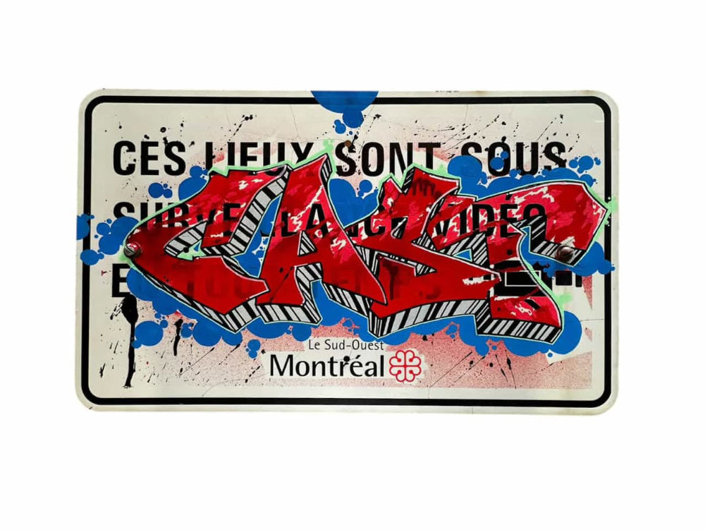 “Video Surveillance” – Original Artwork by CAST